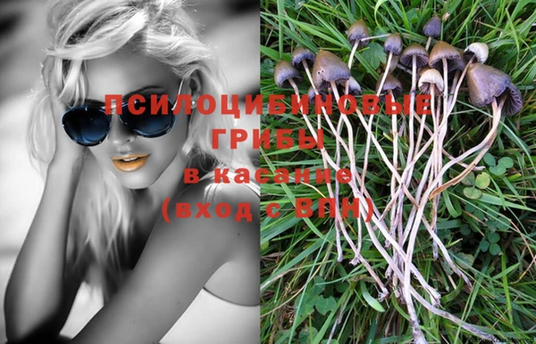 прущие крисы Абаза