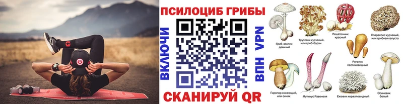 дарнет шоп  hydra рабочий сайт  Псилоцибиновые грибы MAGIC MUSHROOMS  Абаза 